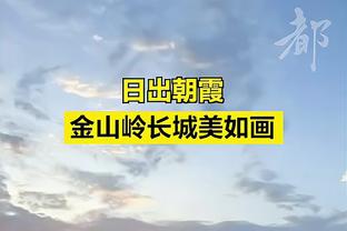 日本足协召开临时评议员会，承认前国脚宫本恒靖将任下届足协主席